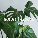 natural espaco